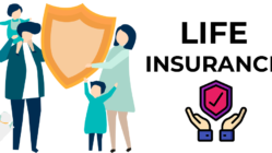 2023 Best Whole Life Insurance Companies for January