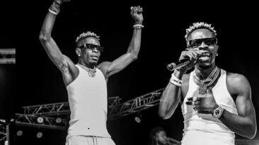 shatta wale standard